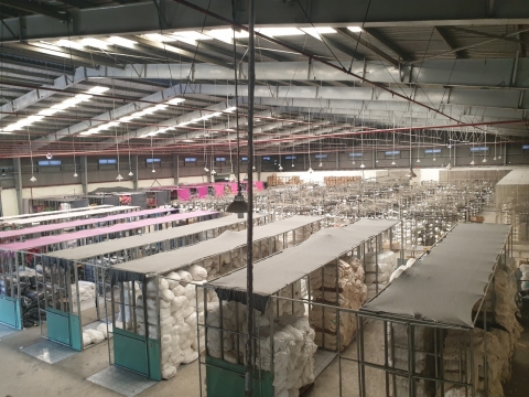 SHOWROOM TẠI SÀI GÒN